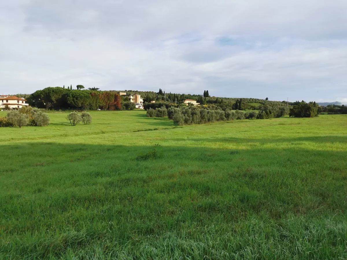 Salviamo la collina